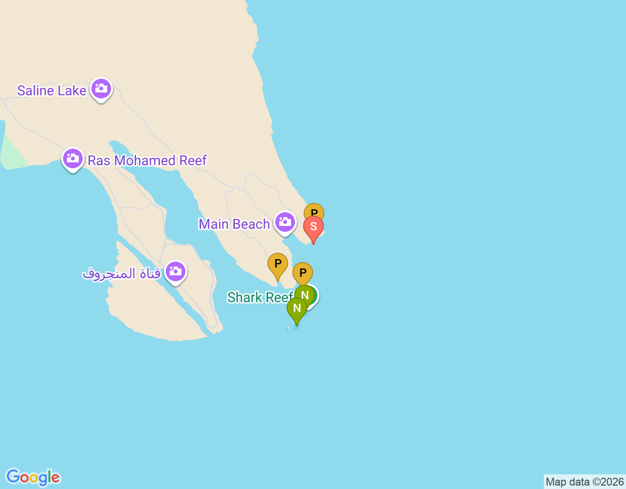 Mapa da localização de Shark Observatory