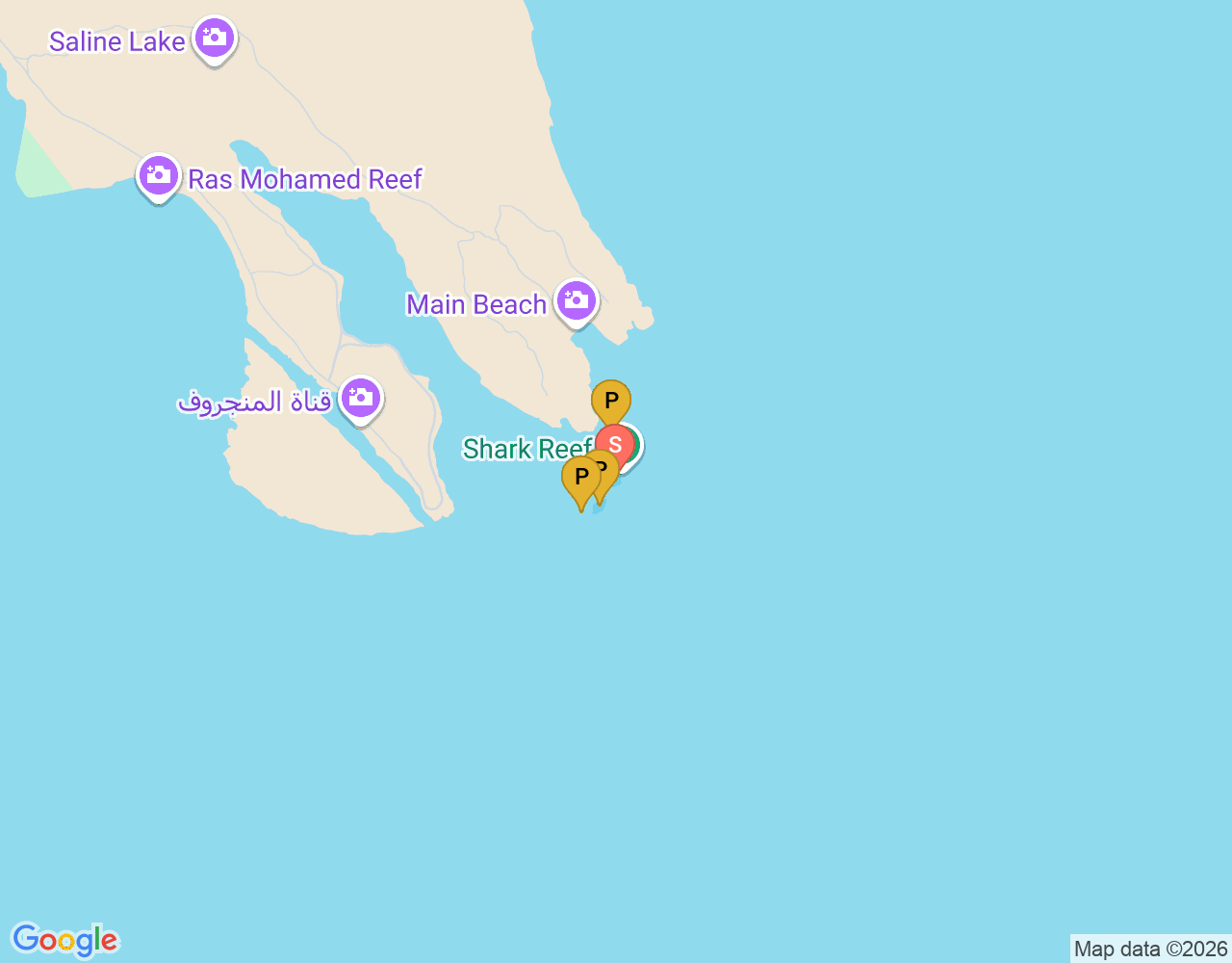 Shark Reef location map