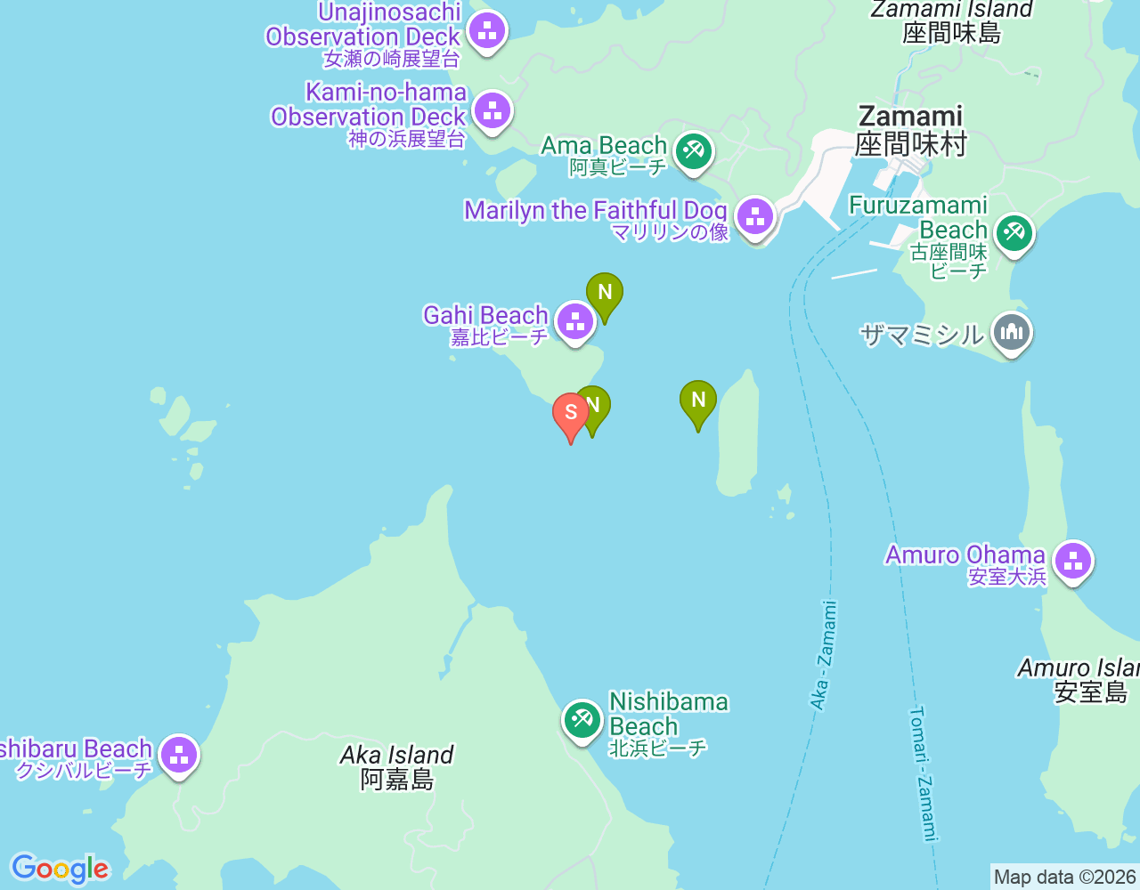 イボイボサンゴ location map