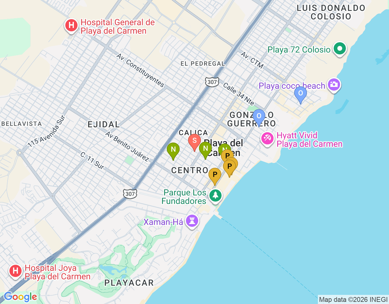 Mapa de ubicación de Playa del Carmen — Bull Shark Season